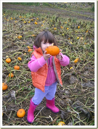 Pumpkin Patch Oct 2008 004