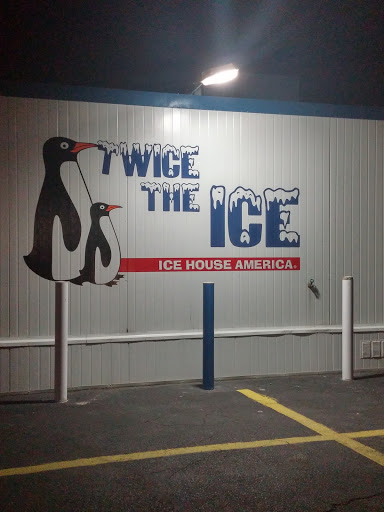 Twice The Ice Mural