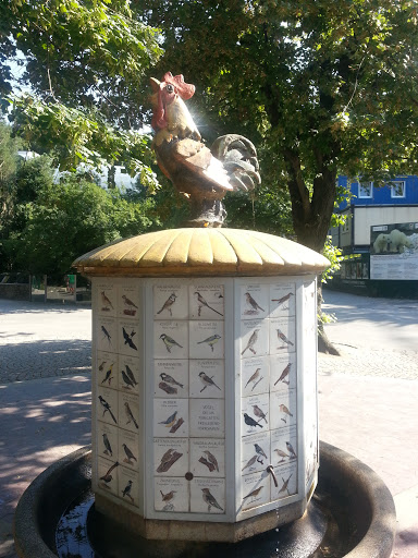 Bird's Fountain