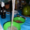 Shipworm / Tamilok