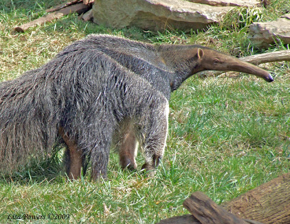Spotting Image 1