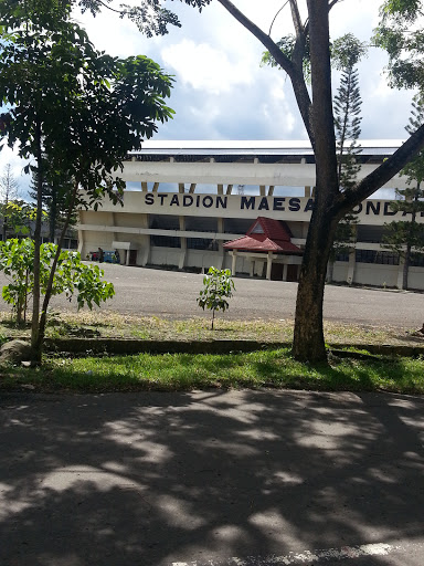 Stadion Maesa 