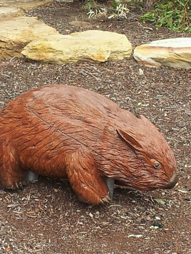 Muddle Headed Wombat