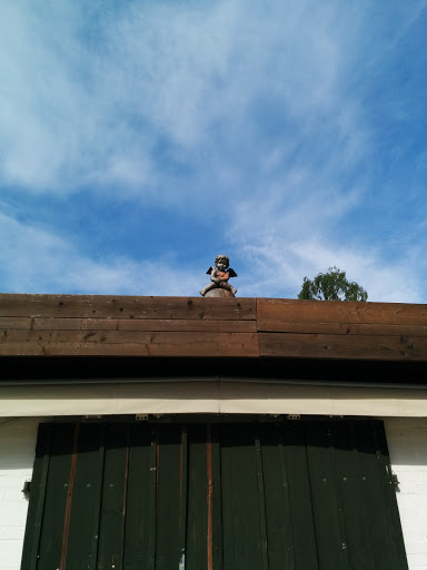 Ralph auf dem Dach