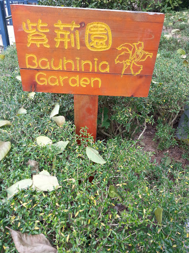 Bauhinia Garden