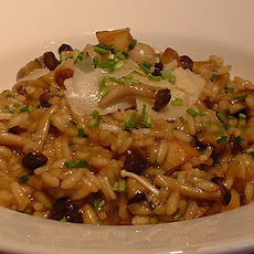 Wild Mushroom Risotto