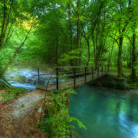 Green paradise by Boris Frković - Landscapes Forests ( vir, brod, green, kupa, creek, gorski, bridge, paradise, curak, kupi, kotar, zeleni )