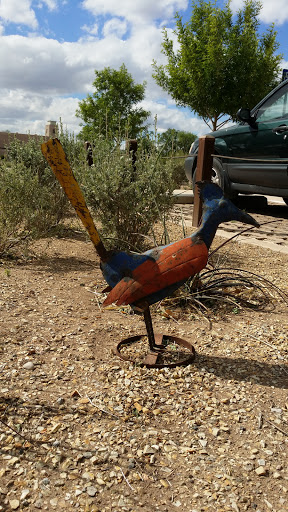 A Colorful Roadrunner