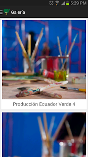 How to mod Ecuador Verde 1.1 mod apk for pc