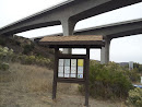 MTRP SR-52 Underpass Trail 2