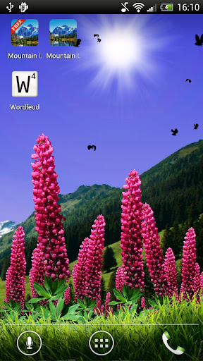 Wild Lupins Free