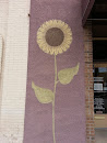 Painted Sunflower