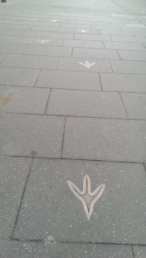 Emu Footprints Path
