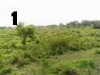 Rancho 125Hts $22000000