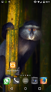 How to install MyDailyWallsHD (with Bing) 1.6.5 unlimited apk for bluestacks