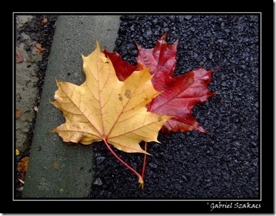 dscf4767_f_800