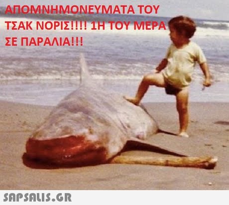 ΑΠΟΜΝΗΜΟΝΕΥΜΑΤΑ ΤΟΥ ΤΣΑΚ ΝΟΡΙΣ ! ! ! ! IHTOY MEPA ΣΕ ΠΑΡΑΛΙΑ! !! 