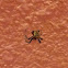 Unknown spotting