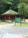 中強公園