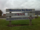 Macandrew Bay Beach