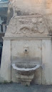 Fontana Del Leone 