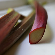 Rhubarb Marmalade, 1876