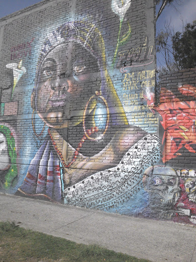 Graffiti De Mujer Negra