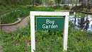 Bog Garden