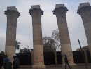Ain Shams University Pillars