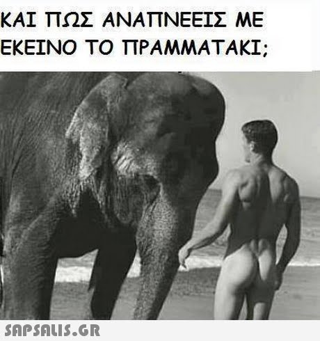 ΚΑΙ ΠΩΣ ΑΝΑΠΝΕΕΙΣ ΜΕ ΕΚΕΙΝΟ ΤΟ ΠΡΑΜΜΑΤΑΚΙ; 