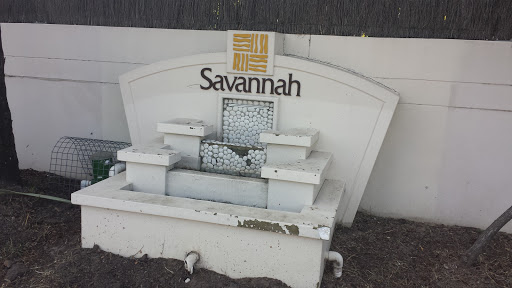 The Savannah Fountain