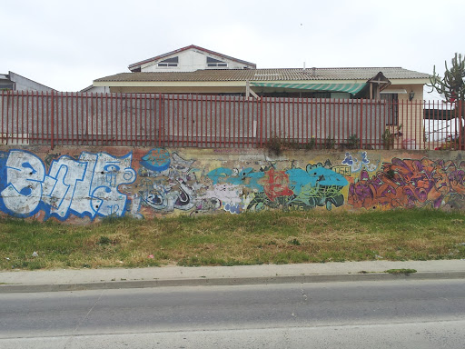 Graffiti Marga