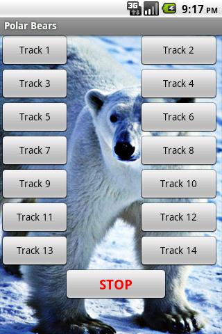 北極熊音效
