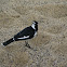 Mudlark