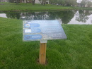 Beautify Fishers Plaque