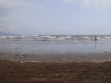 P8150463.JPG