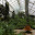 <p>
	Interior of one of the many glass houses holding collections of plants from around the world</p>
