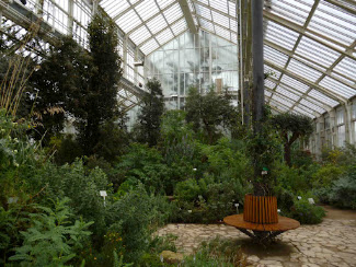 <p>
	Interior of one of the many glass houses holding collections of plants from around the world</p>
