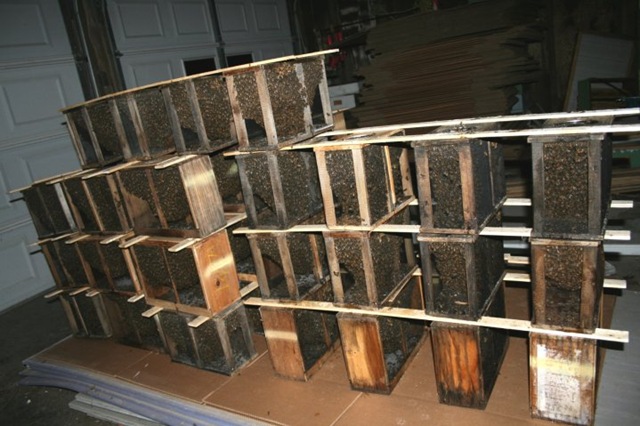 [packagebees[3].jpg]