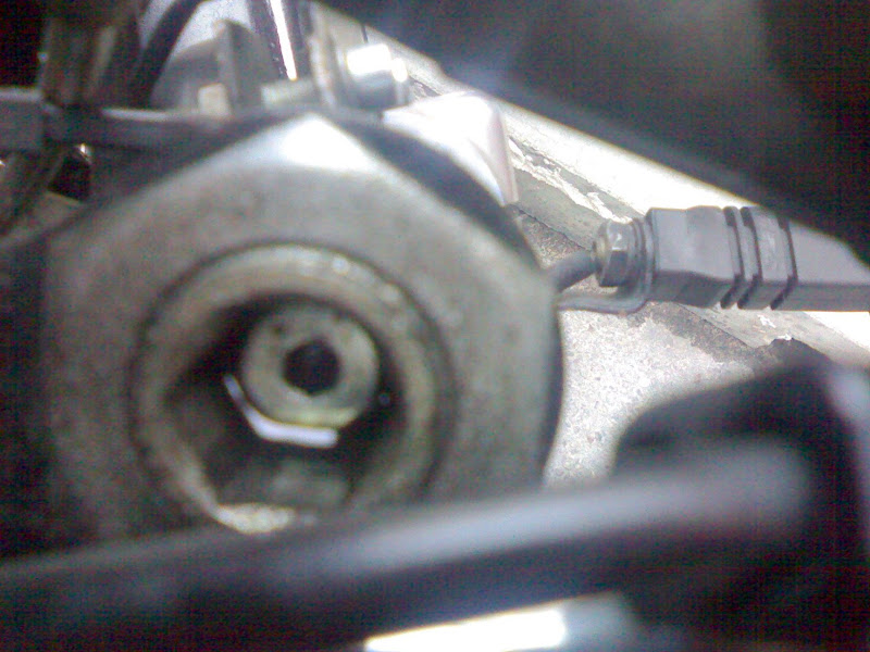 09052008390.jpg