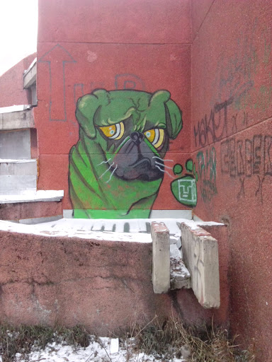 Green Dog Graffiti
