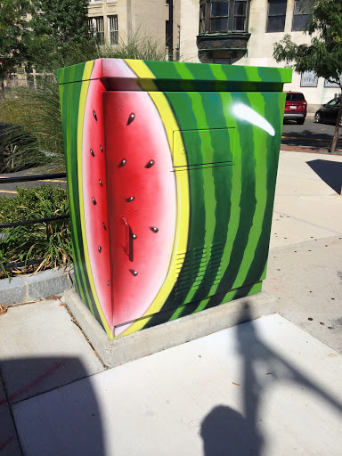 Watermelon Circuit Box