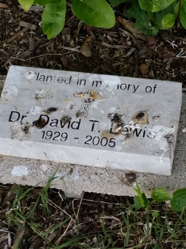 Dr David Lewis Memorial
