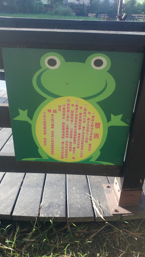 讓青蛙告訴你