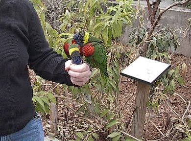 Spotting Image 1