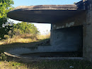 Overgrown Bunker