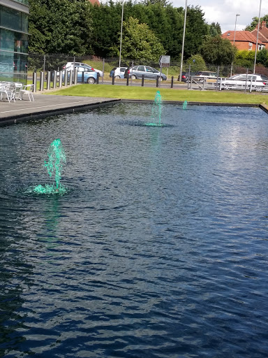 Green Water Fountains