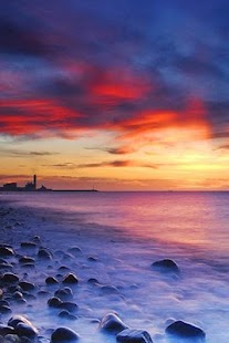 How to mod Test Application w49 - 01 1.0.0 mod apk for bluestacks