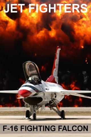 F-16 Fighting Falcon PRO