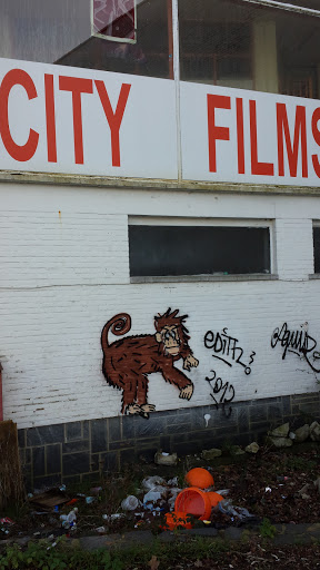 City Films Monkey